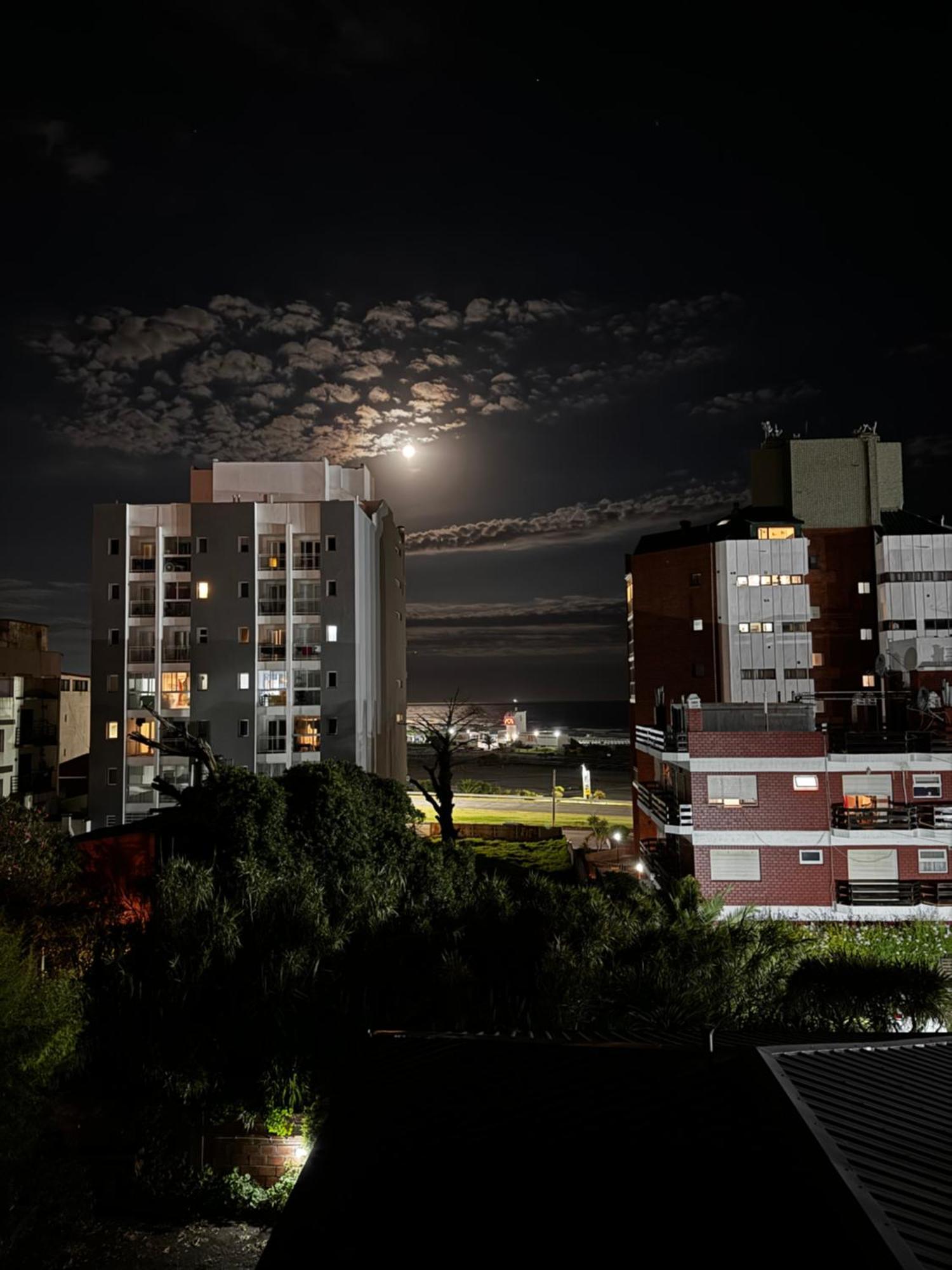Departamento Entero En Punta Mogotes *
